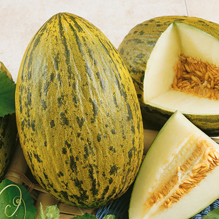 Piel De Sapo, Cantaloupe Seeds - 1 Ounce image number null
