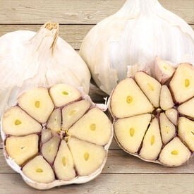 Lorz Italian, Garlic Bulbs