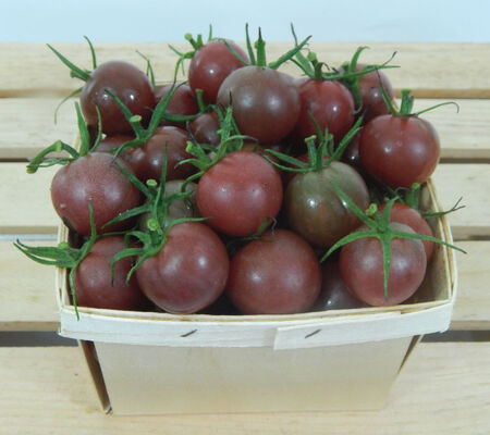 Perfectly round cherry with classic black tomato flavor Organic BLACK CHERRY TOMATO Seed Open-pollinated sweet yet rich and complex.\u201d