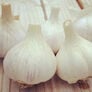 German White, Garlic Bulbs thumbnail number null