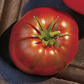Paul Robeson, Tomato Seeds