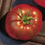Paul Robeson, Tomato Seeds - Packet thumbnail number null