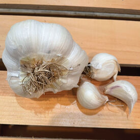 Inchelium Red, Garlic
