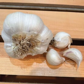 Inchelium Red, Garlic