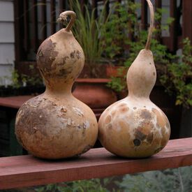 Birdhouse, Gourd Seeds