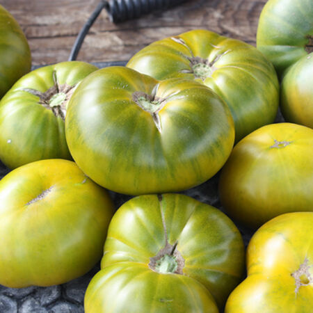 Tasty Evergreen, Tomato Seeds - Packet image number null