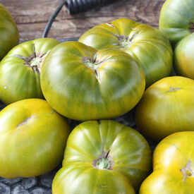 Tasty Evergreen, Tomato Seeds