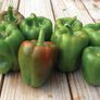 California Wonder, Pepper Seeds - Packet thumbnail number null