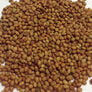 Mammoth Red Clover, Legumes - 1 Pound thumbnail number null