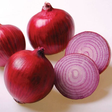 Purple Haze, Onion Seeds - Packet image number null