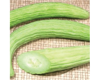 Pale Armenian, Cucumber Seeds