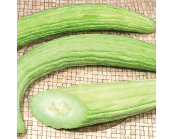 Pale Armenian, Cucumber Seeds - Packet image number null