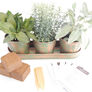 Metal Herb Garden Kit (Round), Garden Gifts - Verdigris Copper thumbnail number null