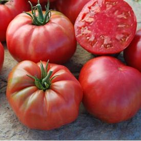 Caspian Pink, Organic Tomato Seeds