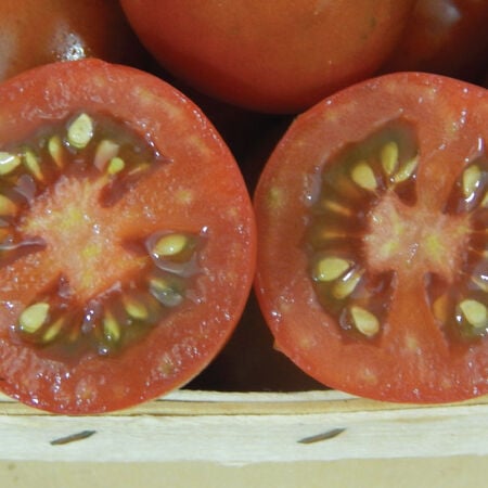 Black Plum, Tomato Seeds - Packet image number null