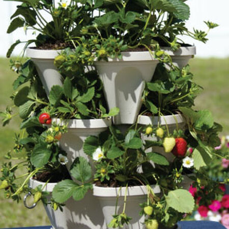 Stackable Planters, Containers image number null