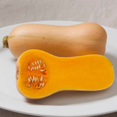 Early Butternut, Squash Seeds - Packet image number null