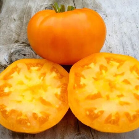 Amana Orange, Tomato Seeds - Packet image number null