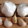California Early, Garlic Seed thumbnail number null
