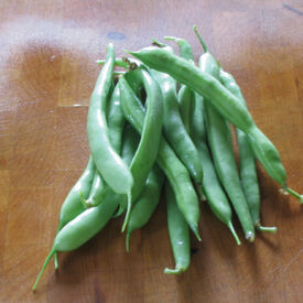 Mountaineer White Half Runner, Bean Seeds