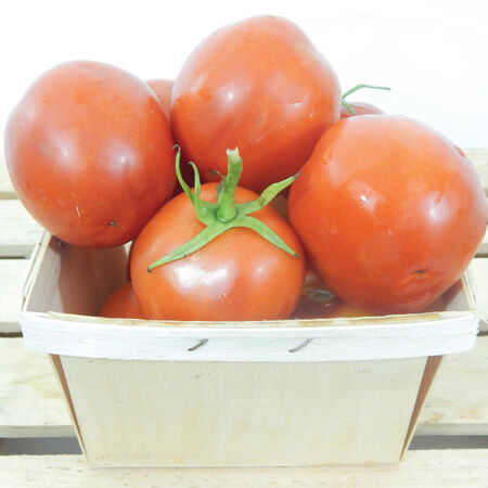 Moneymaker, Tomato Seeds - Packet image number null