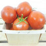 Moneymaker, Tomato Seeds - Packet thumbnail number null