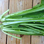 Tendergreen, Mustard Seeds - Packet thumbnail number null