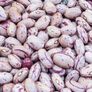 Taylor Dwarf Horticultural, Bean Seeds - Packet (2 oz.) thumbnail number null