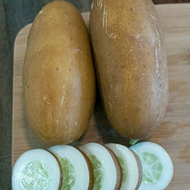 Brown Russian, Cucumber Seeds