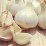 German White, Garlic Bulbs thumbnail number null