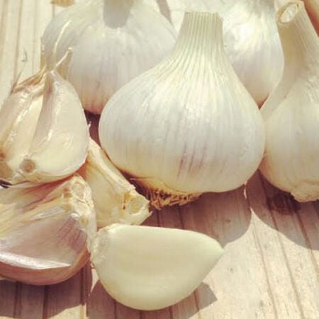 German White, Garlic Bulbs - 1/4 Pound image number null