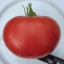 Ponderosa Pink, Tomato Seeds - Packet thumbnail number null