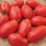Napoli, Tomato Seeds - Packet thumbnail number null