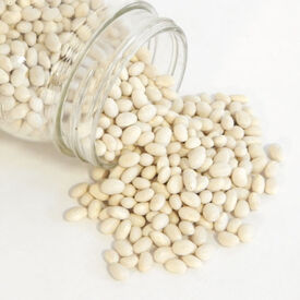 Navy, Bean Seeds