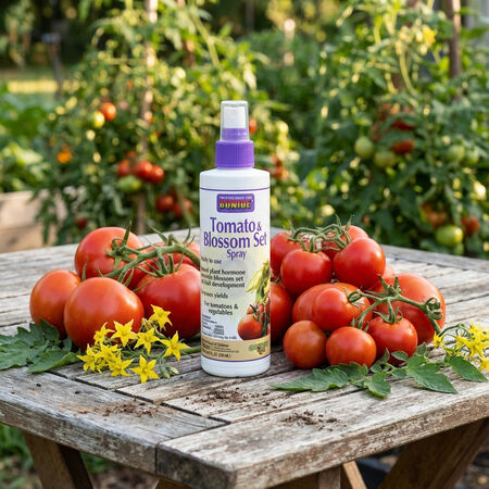 Tomato and Vegetable Blossom Spray, Fertilizers