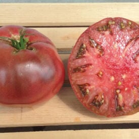 Cherokee Purple, Tomato Seeds