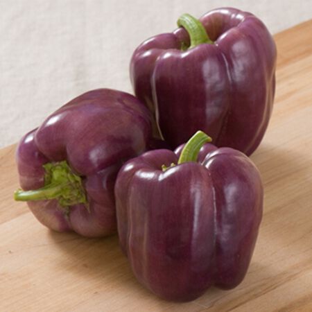 Islander, Pepper Seeds - Packet image number null