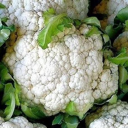 Self Blanching, Cauliflower Seeds - Packet image number null