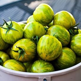 Green Zebra, Tomato Seeds