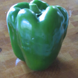Yolo Wonder, Pepper Seeds