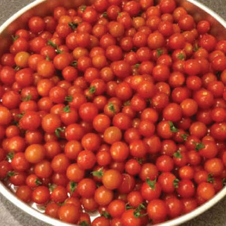 Sweetie, Tomato Seeds - Packet image number null