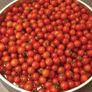 Sweetie, Tomato Seeds - Packet thumbnail number null