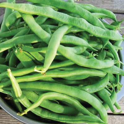 Kentucky top bean bag