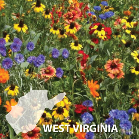 Virginia Blend, Wildflower Seed