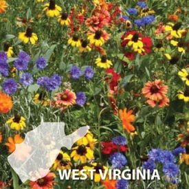 West Virginia Blend, Wildflower Seed