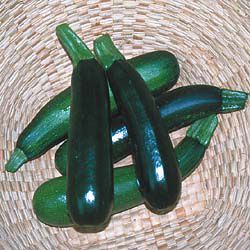 Image of Black zucchini squash image 3