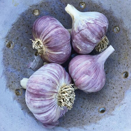 Metechi, Garlic Bulbs - 1/4 Pound image number null