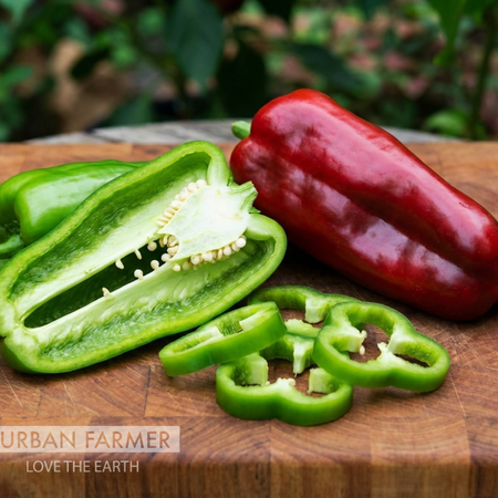 Big Bertha, (F1) Pepper Seeds - Packet image number null