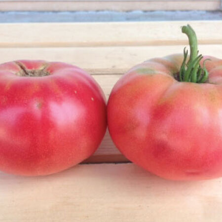 Pink Brandywine, Tomato Seeds - Packet image number null