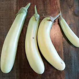 Louisiana Long Green, Eggplant Seeds